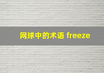 网球中的术语 freeze